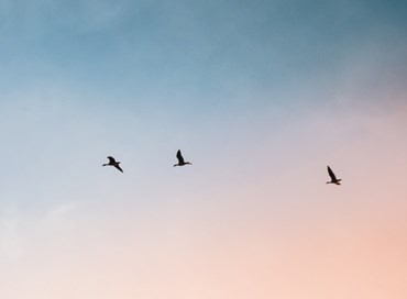 Due vite, un destino