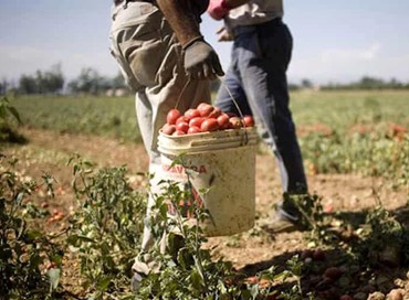 Decreto flussi per migranti: ecco le nuove regole