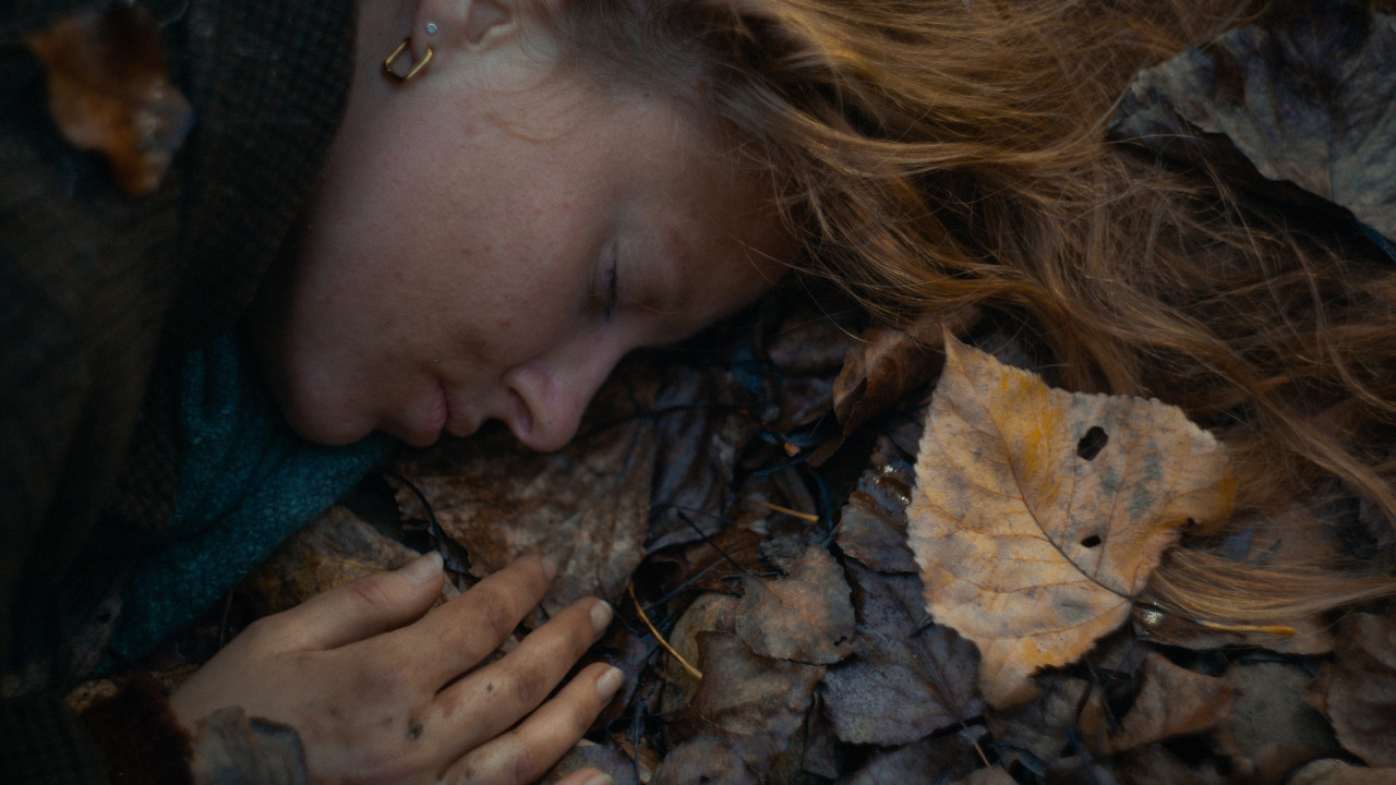 “Trifole”: demenza e tartufi