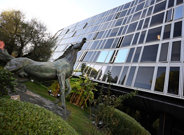 Rai, Cattaneo (Forza Italia): “Non ha senso abbassare il canone”