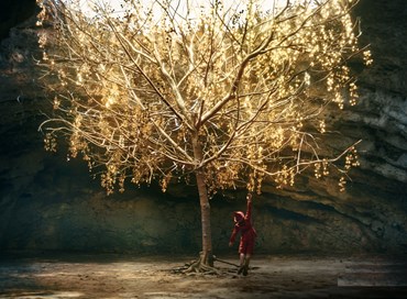 Taccuino Liberale #18