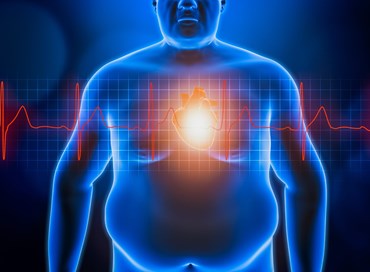 Sos cardiobesità, dare al cuore il giusto peso