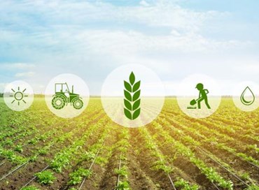 La scelta dell’agricoltura sostenibile