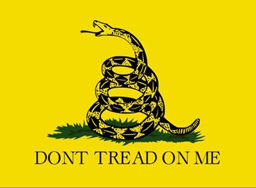 Io, identificato per una bandiera di Gadsden