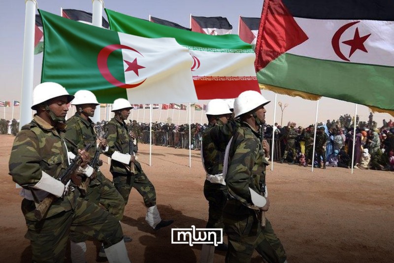 Algeria, Siria e Polisario: le nuove rivelazioni e implicazioni