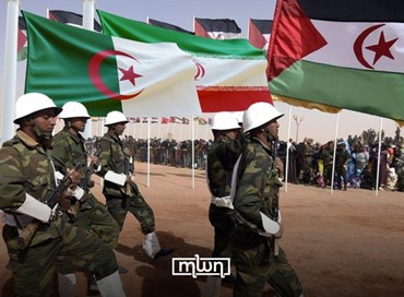 Algeria, Siria e Polisario: le nuove rivelazioni e implicazioni