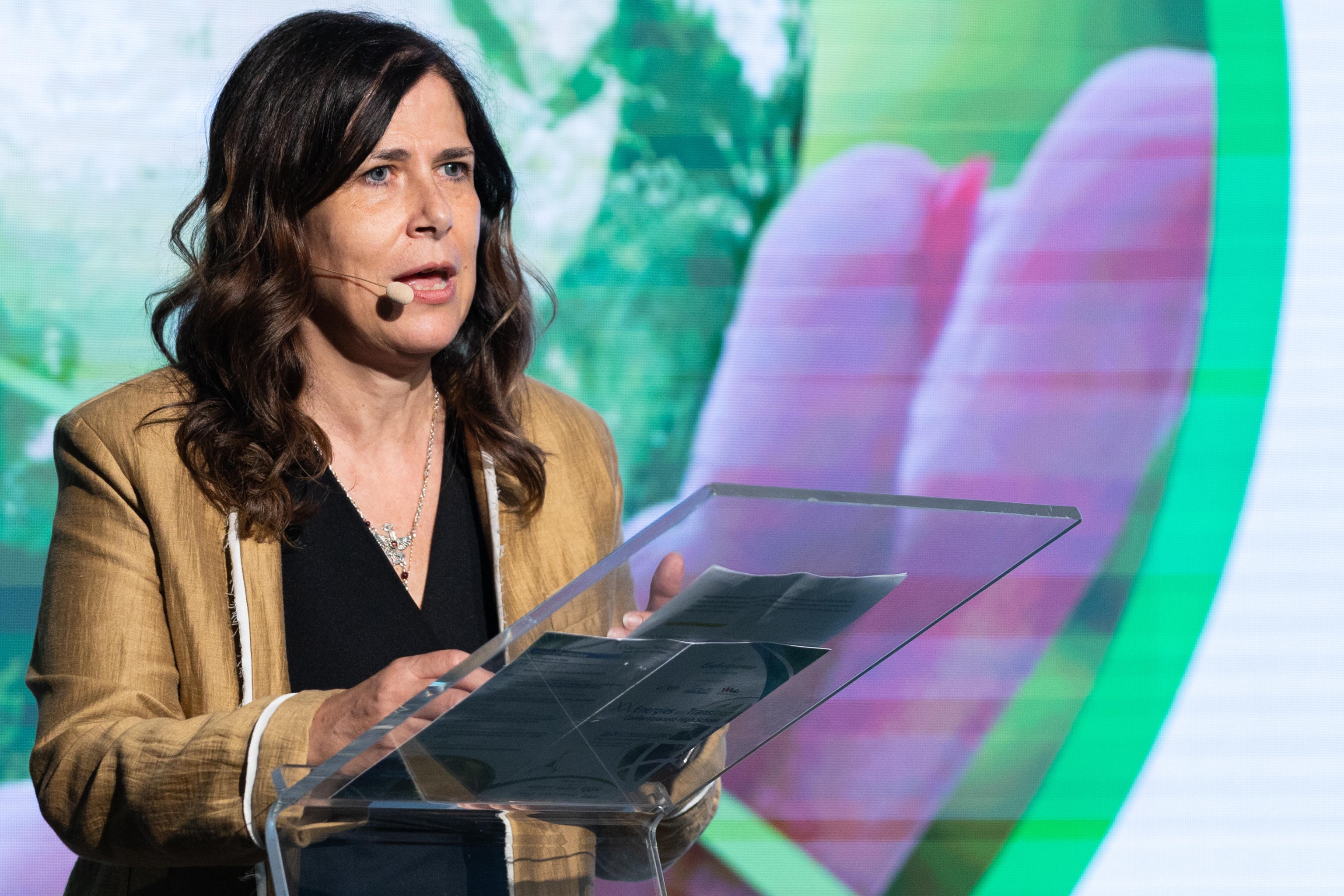 Arriva Musk e la Todde scompare