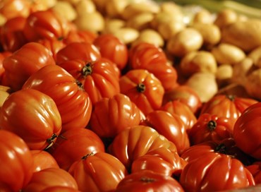 Caratteristiche dell’industria alimentare: sicurezza e precisione