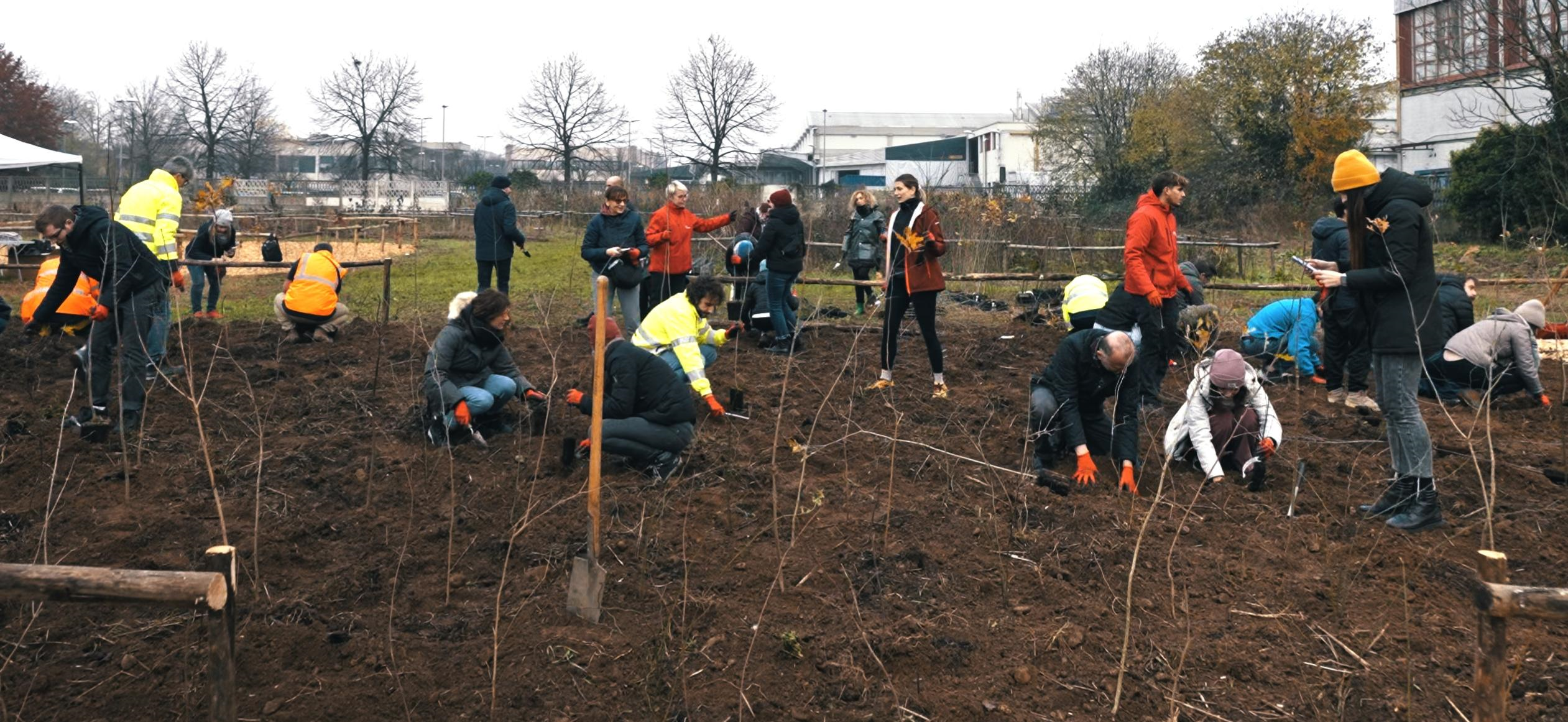 Trenta ettari di nuovi boschi per l’Italia