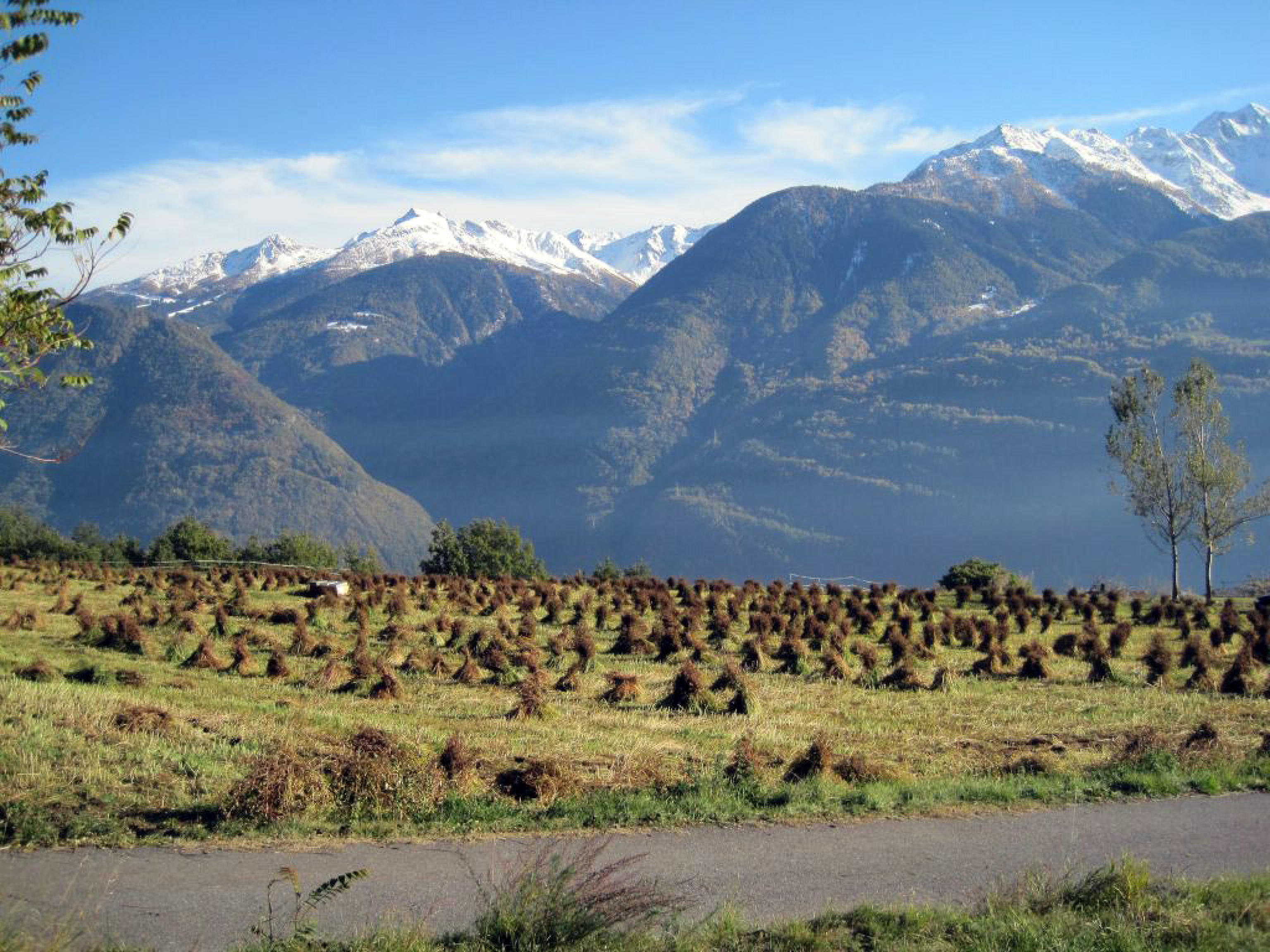 Alpi, la spina dorsale dell’Europa
