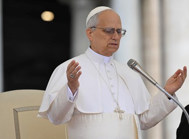 Mediazione leonina