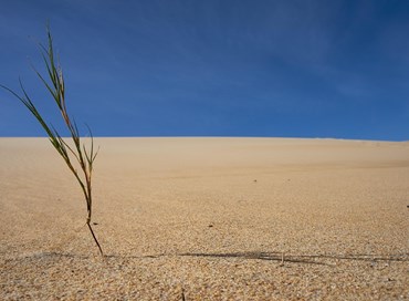 A proposito della scienzah