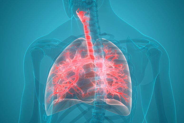 La scoperta della acqua calda: lo smog nuoce alla salute