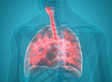 La scoperta della acqua calda: lo smog nuoce alla salute