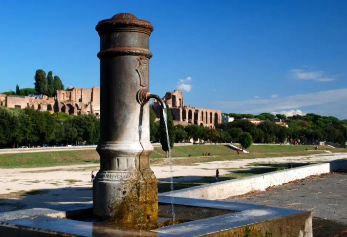 “Annaffiami”, salviamo le piante di Roma 