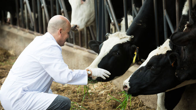 La funzione di garanzia della professione veterinaria