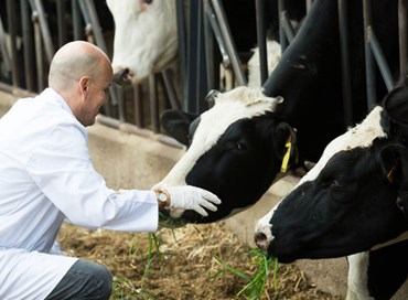 La funzione di garanzia della professione veterinaria