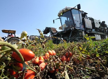 #Albait. Due più due fa rosso