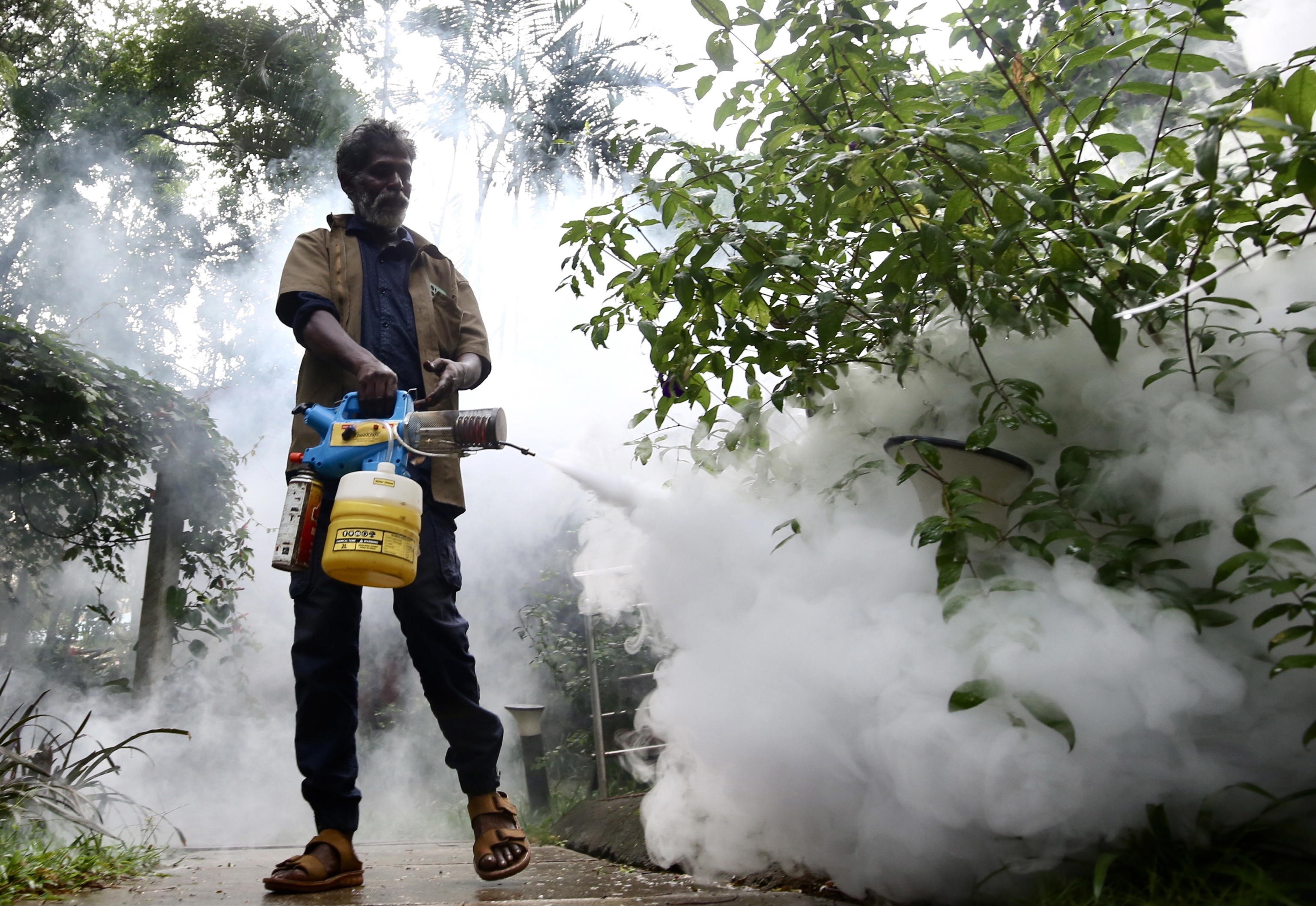 La paura fa west nile