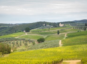 Turismo, il buon senso che deve governare la Toscana