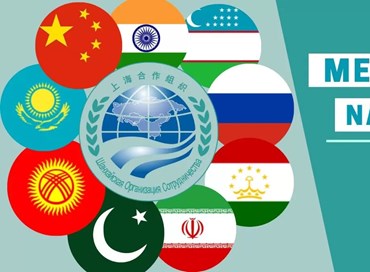 Sco-rdati: l’Europa cerca casa