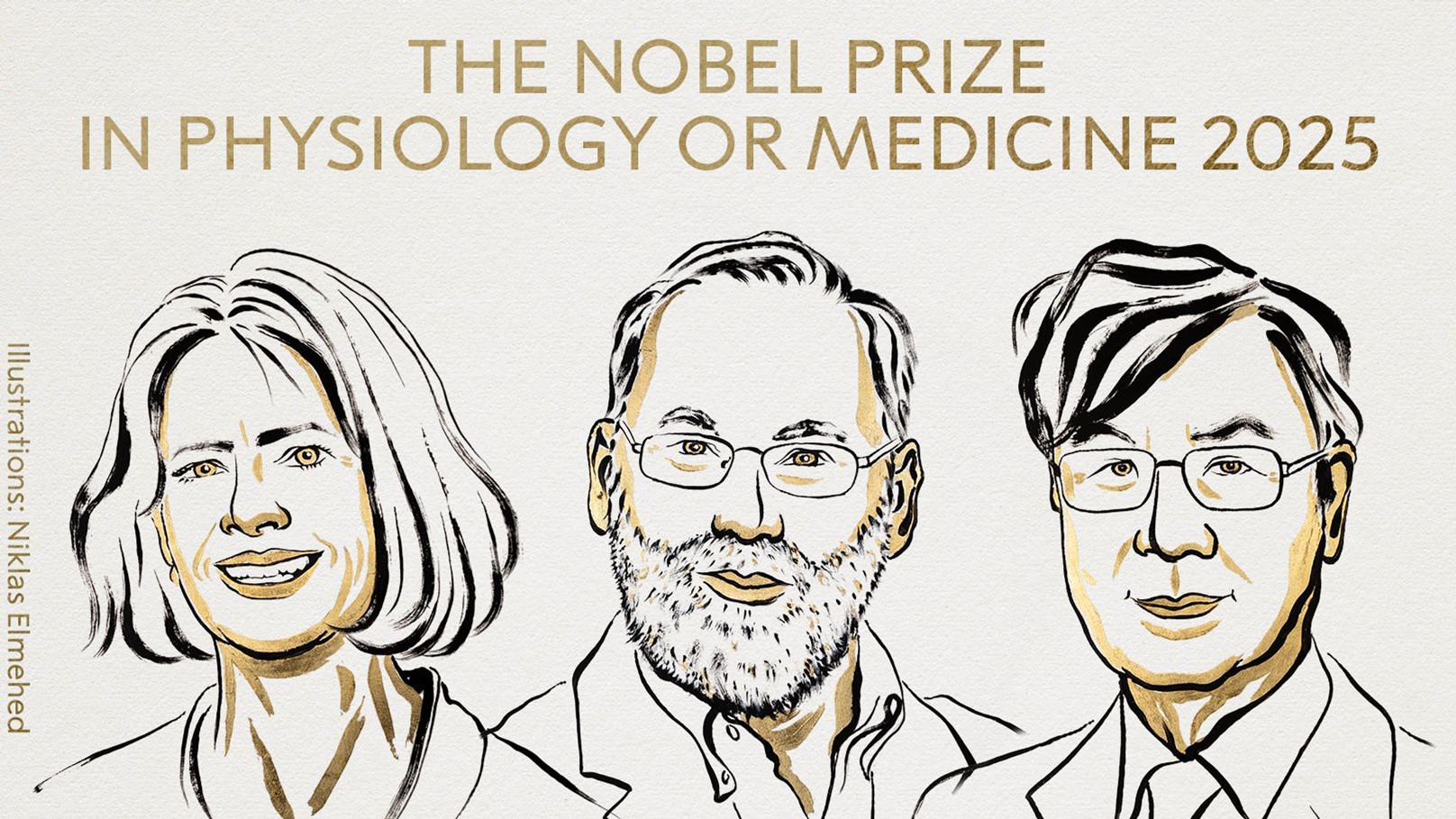 Nobel per la Medicina a Brunkow, Ramsdell e Sakaguchi