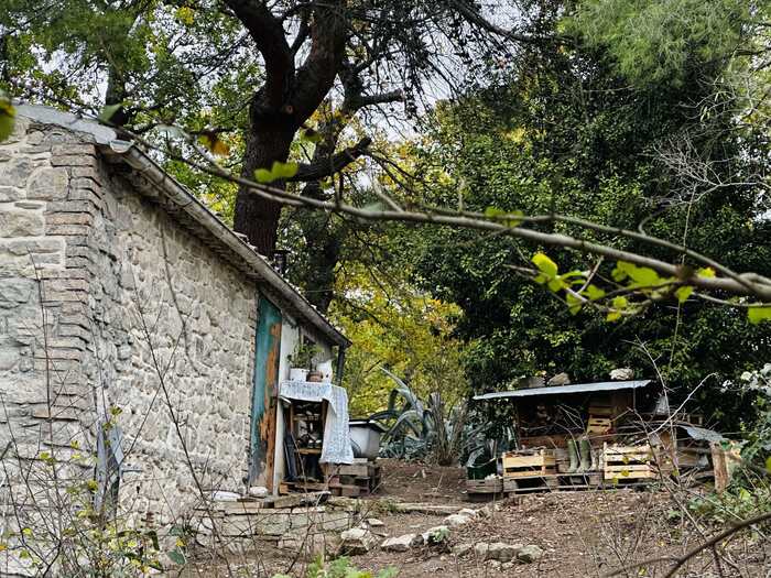 Il bosco non è un diritto: quando la libertà educativa diventa abbandono