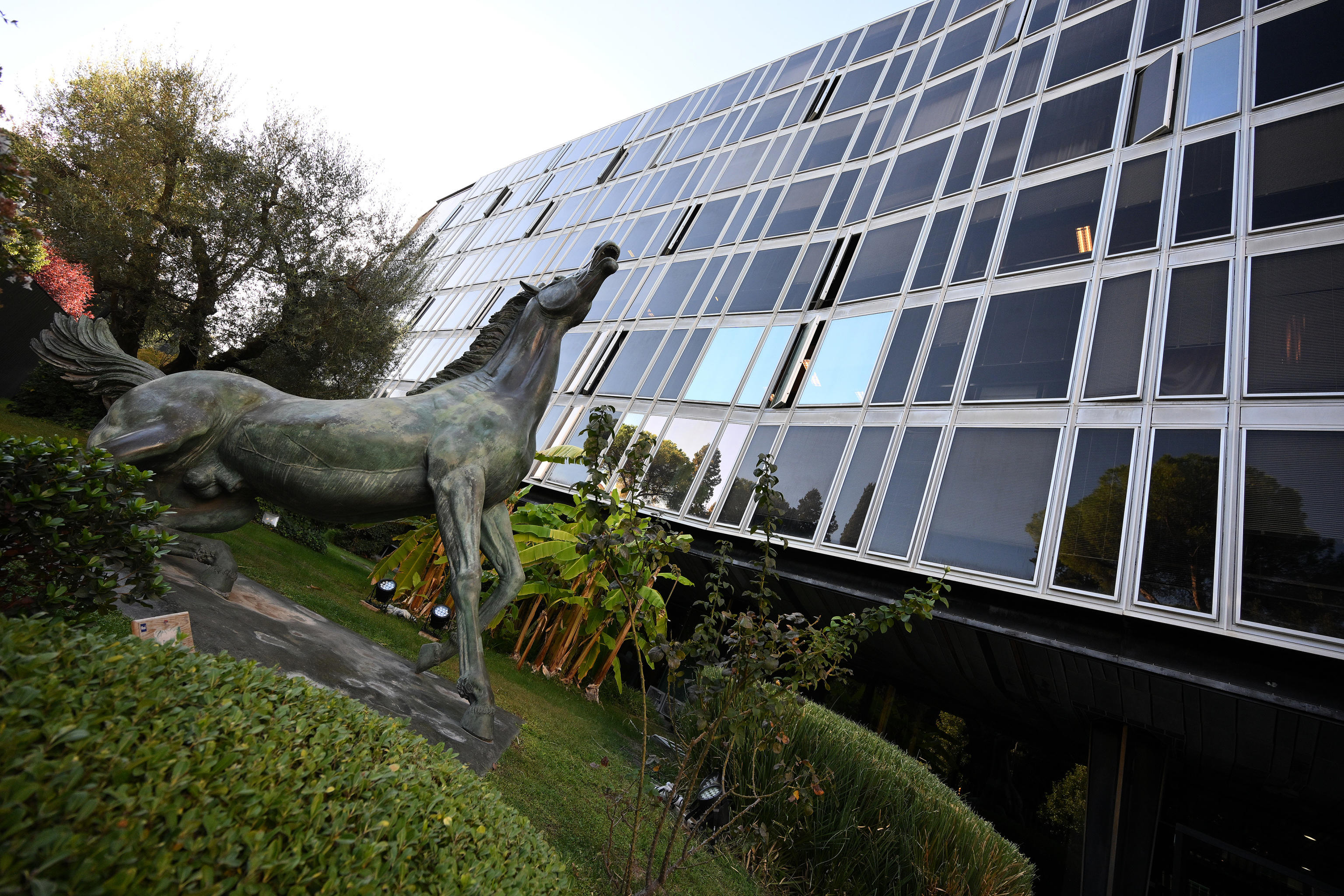 La razionalizzazione è il timore della Rai