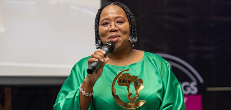 La nuova sfida politica di Nolubabalo Mcinga