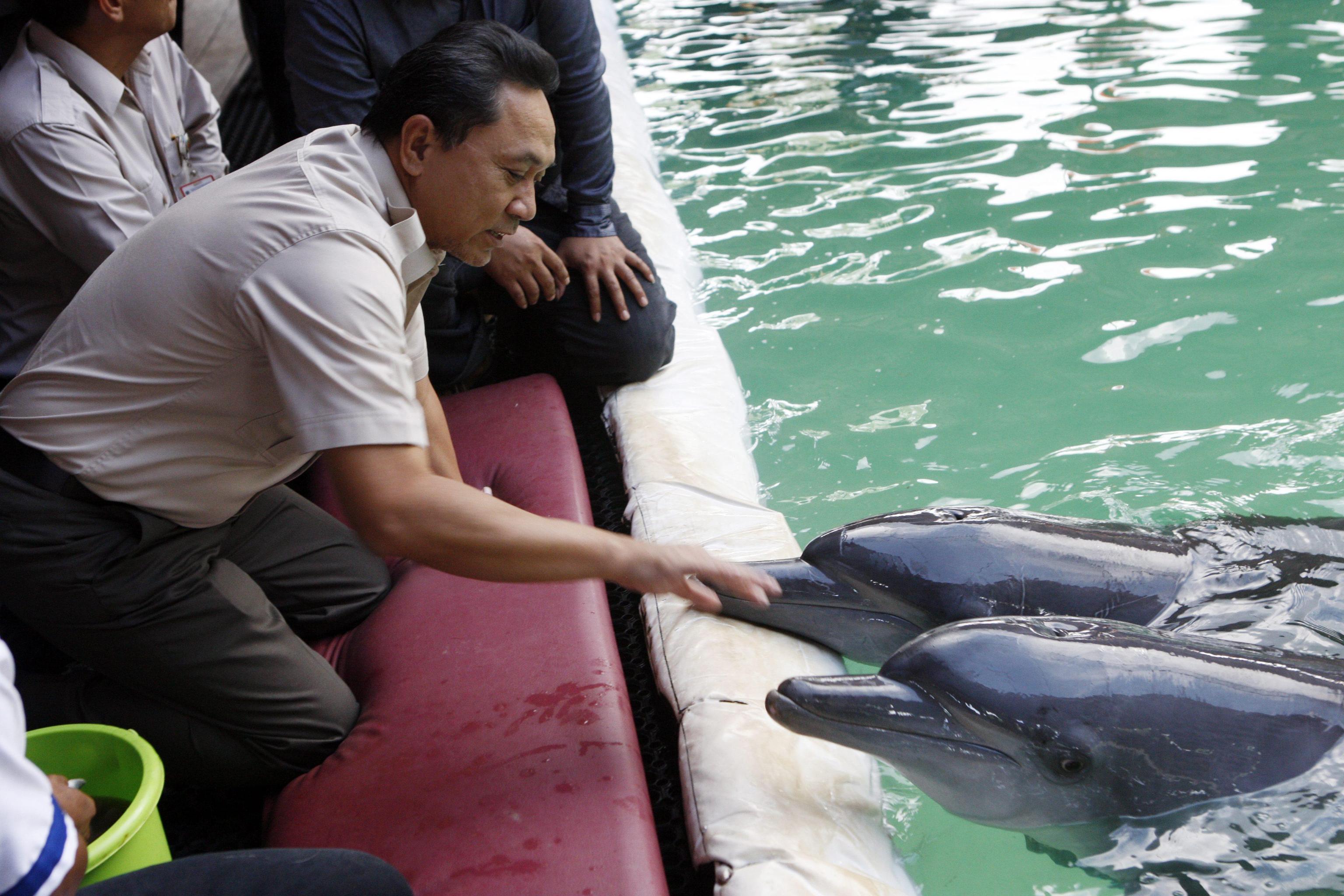 Troppo lavoro e affari religiosi