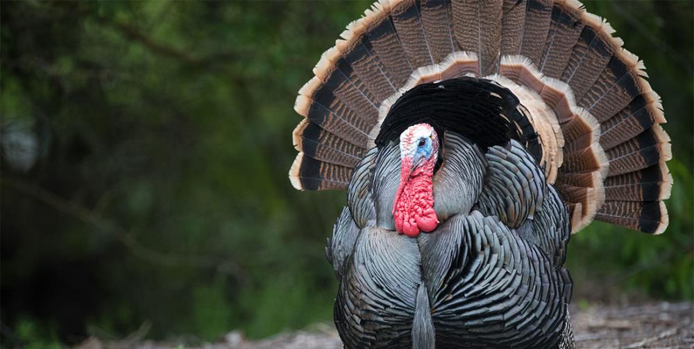 Perché privatizzare fa così paura