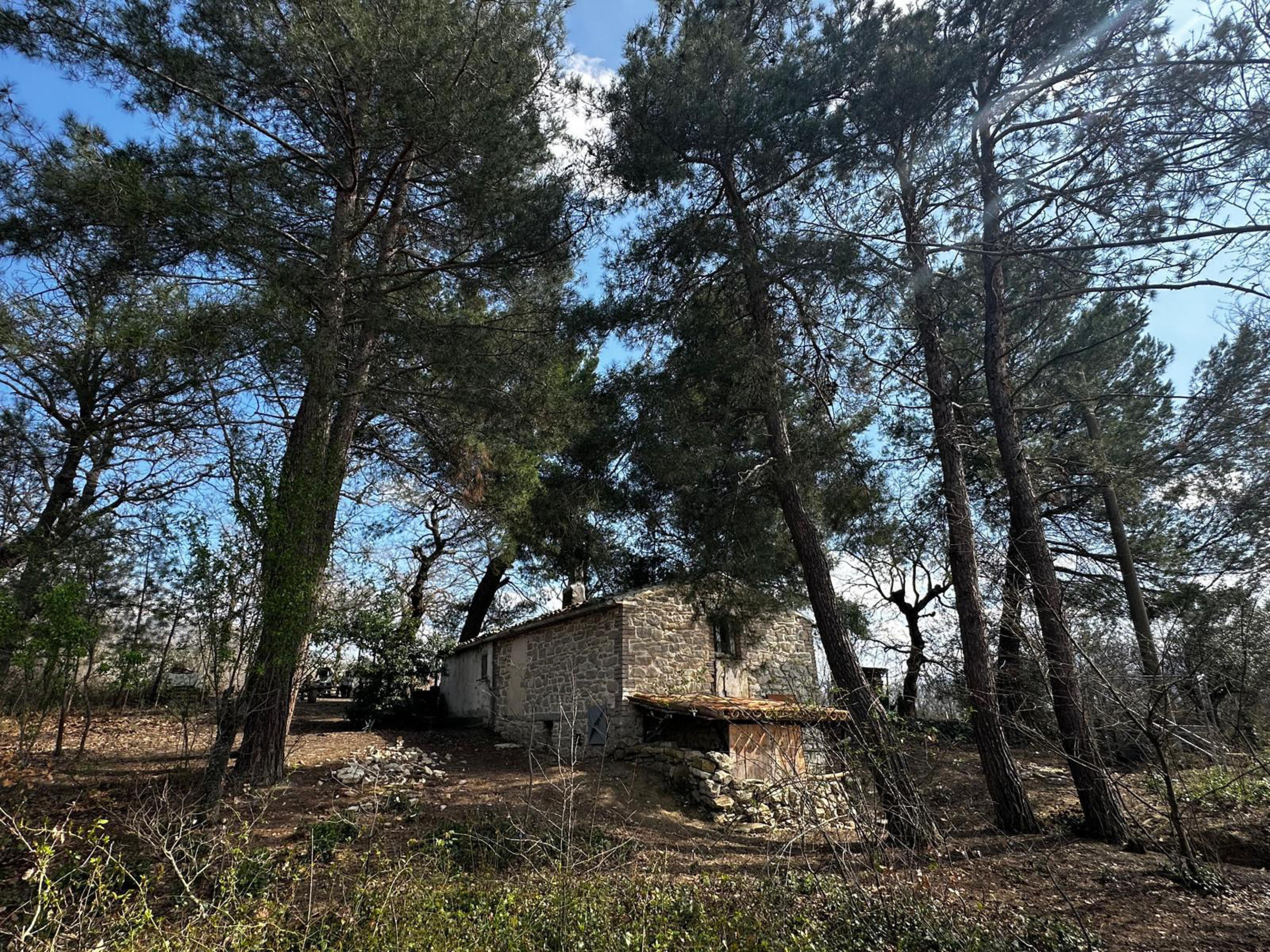 Tribunale dei minori e loro interesse