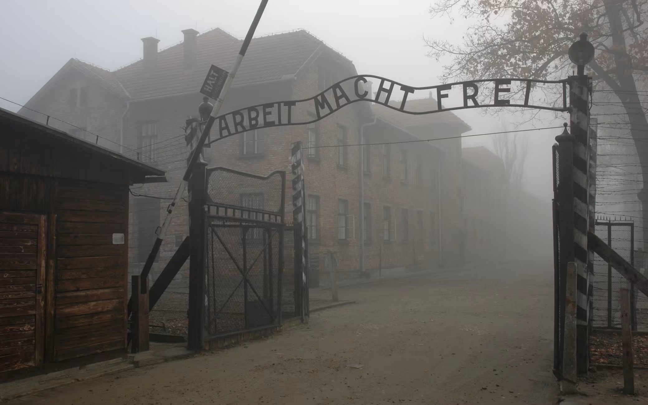 Auschwitz ci guarda ancora