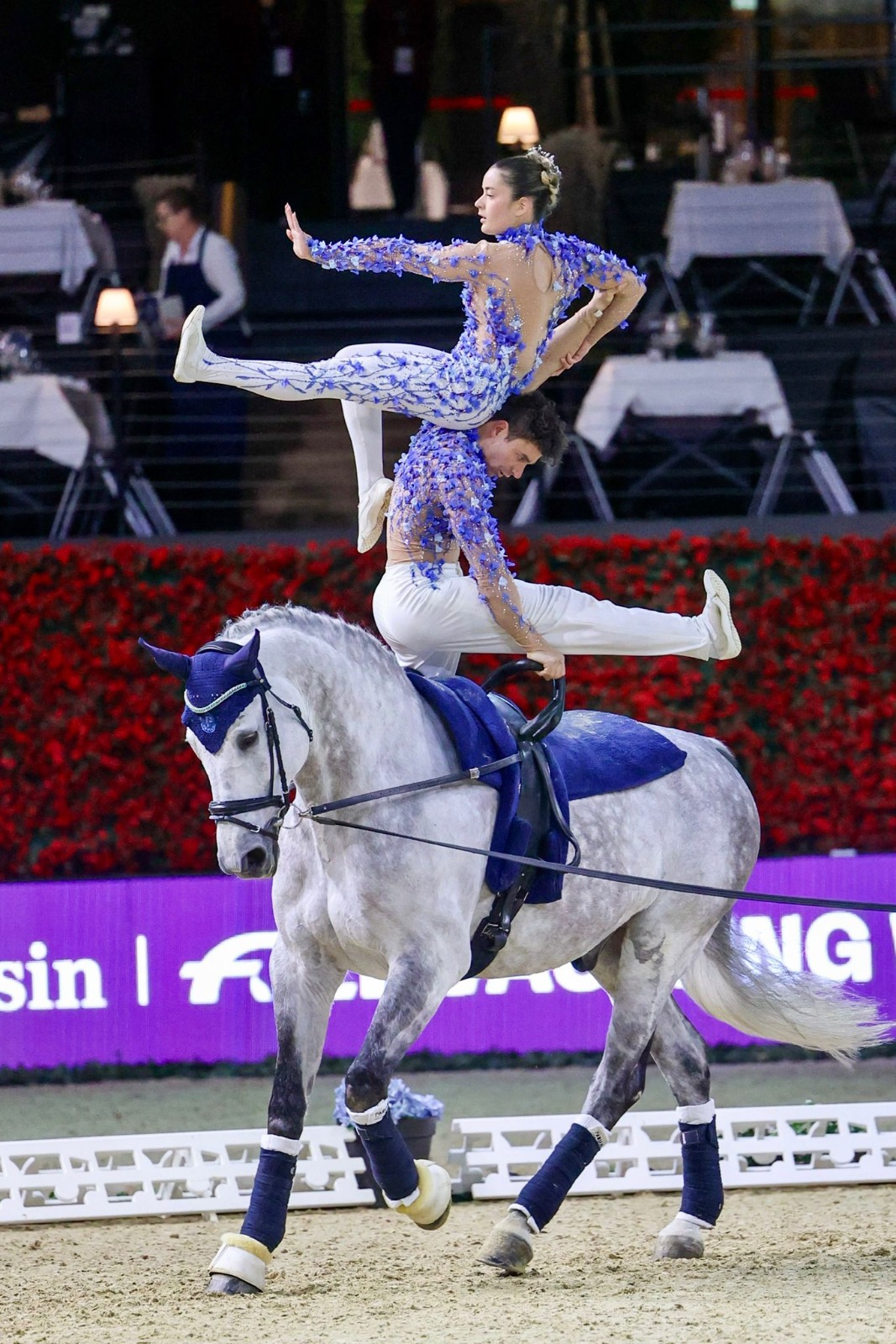 Il volteggio equestre premiato in Senato 