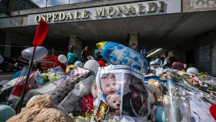 Caso Monaldi, parla Deborah Impieri presidente Animec 