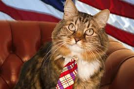 Pillole di sano menefreghismo (Podcast)