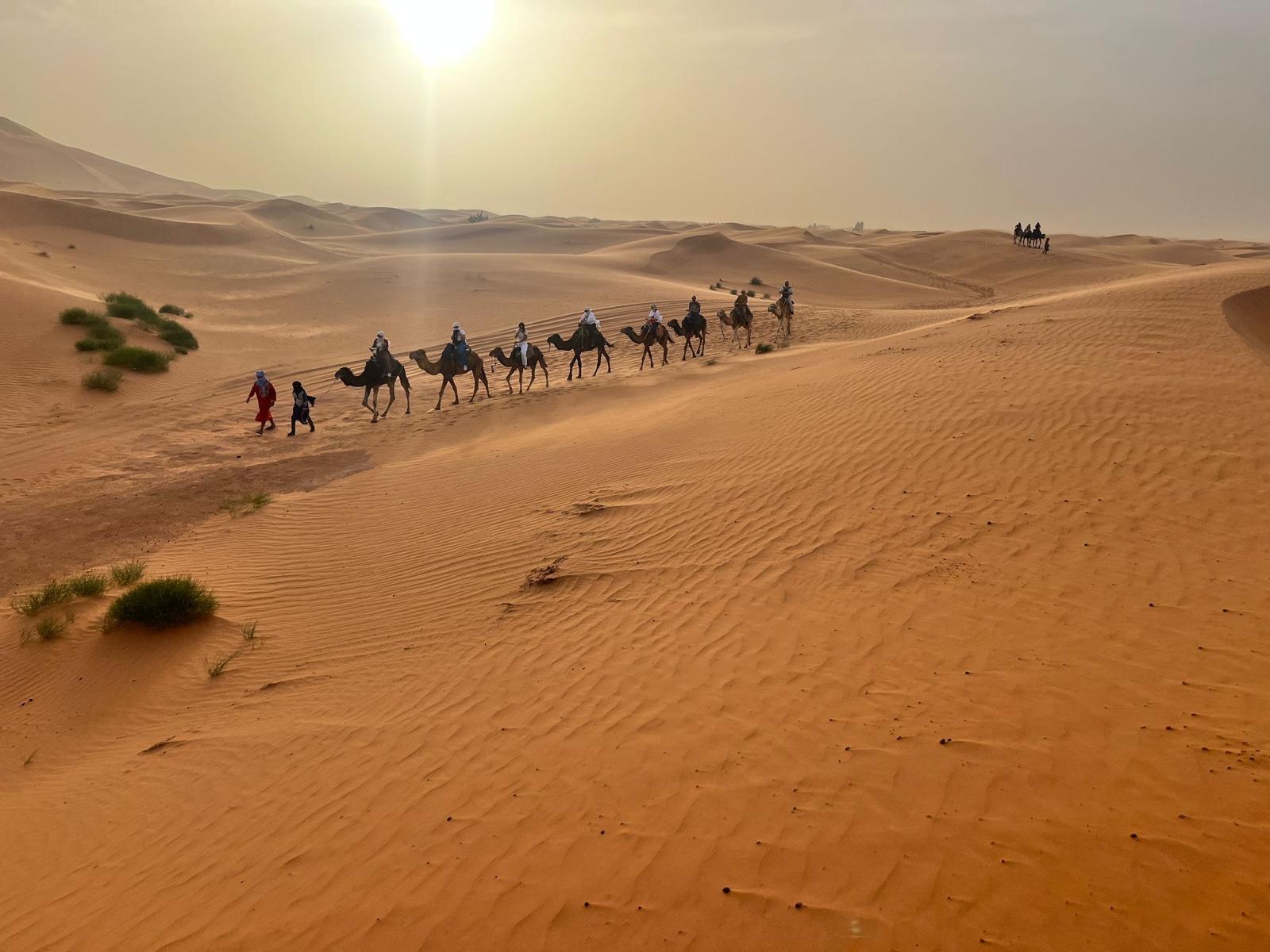 Sahara à la carte
