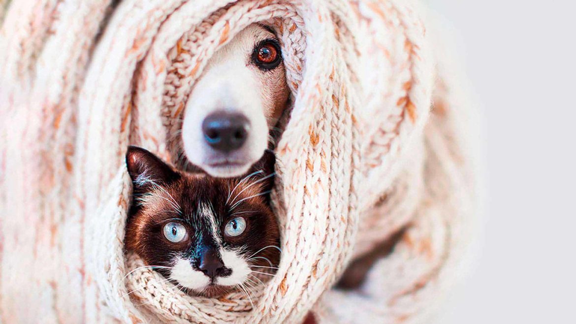 Pillole di sano menefreghismo (Podcast)
