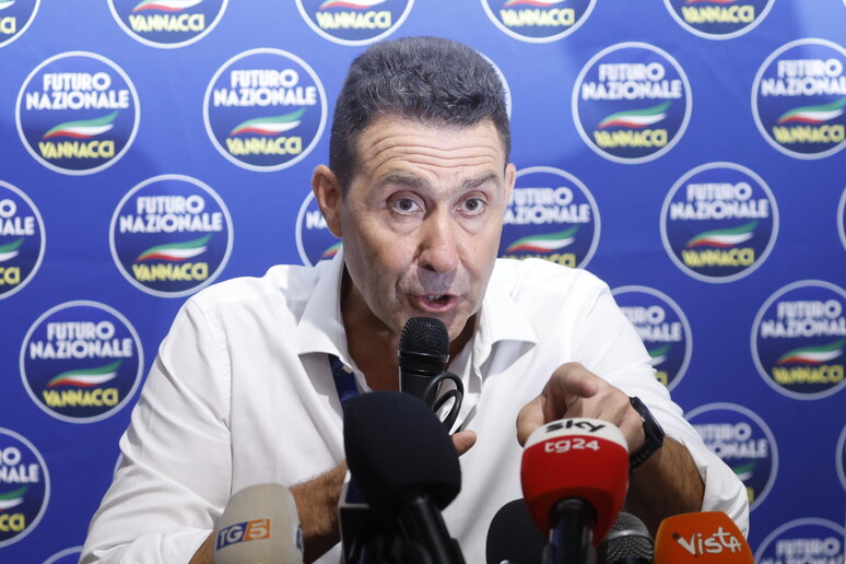 Vannacci e dintorni