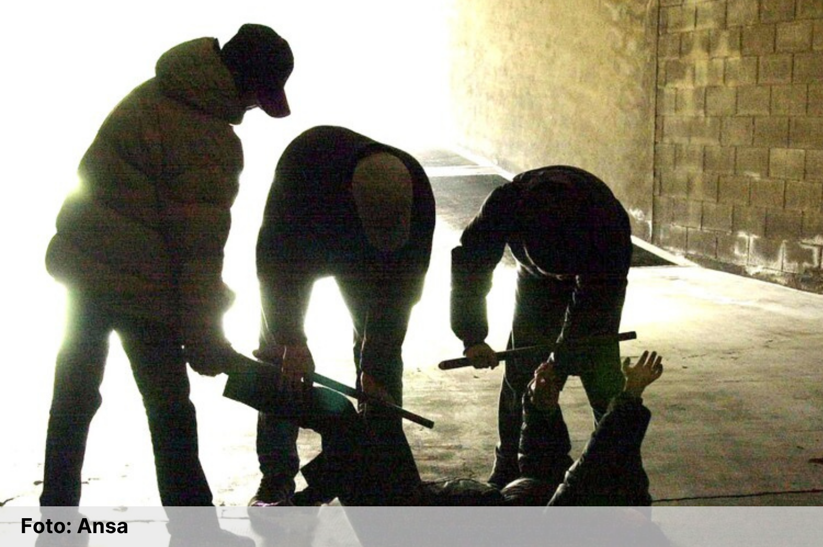 I ragazzi del branco