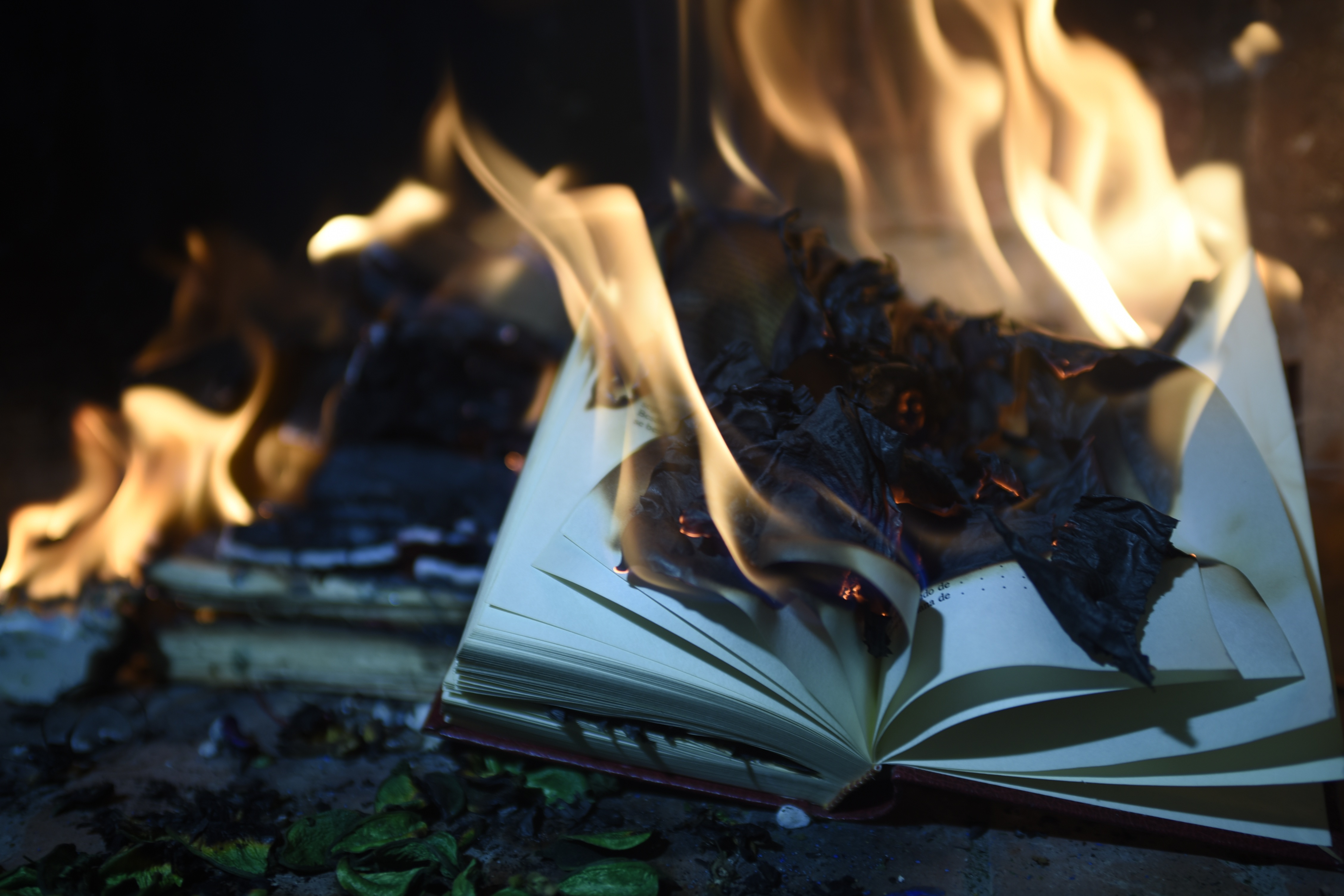 Putin brucia i libri per cancellare l’Ucraina
