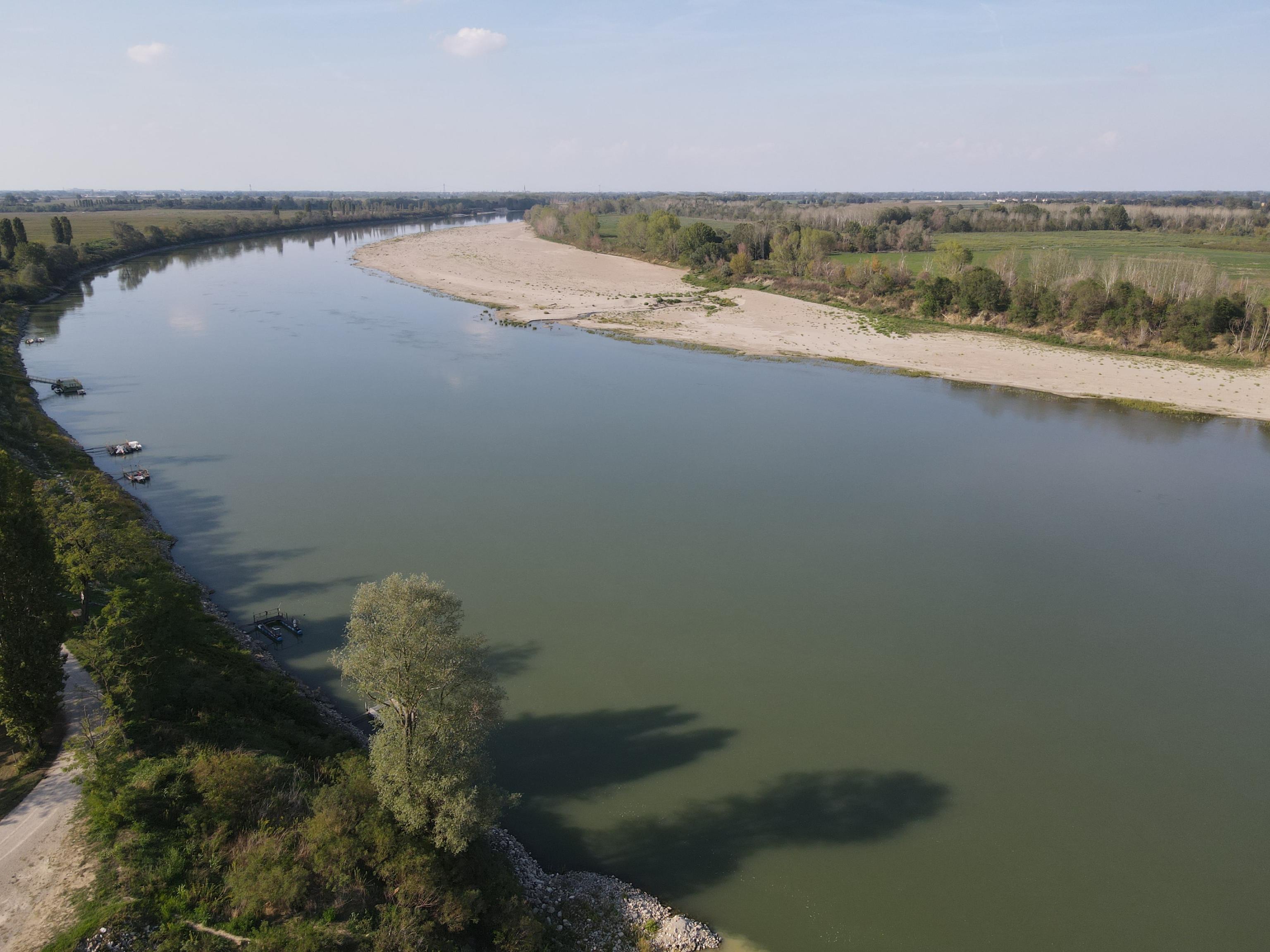 La spugna verde d’Italia