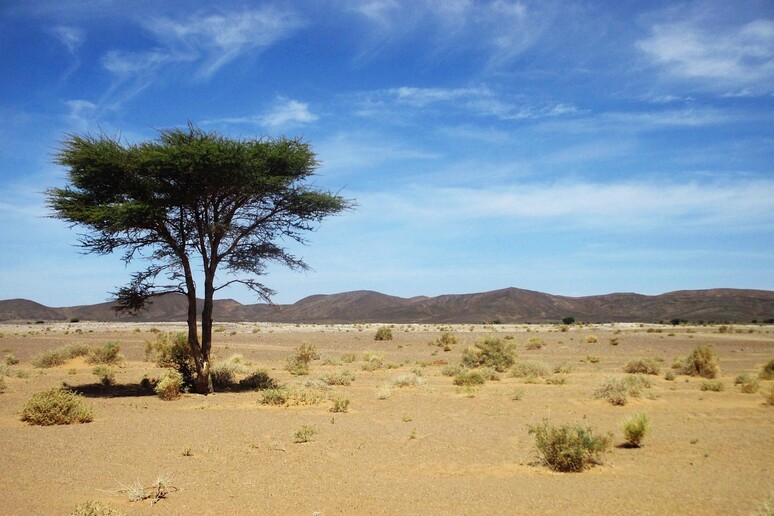 Il Marocco come porta di accesso del Sahel all’Atlantico