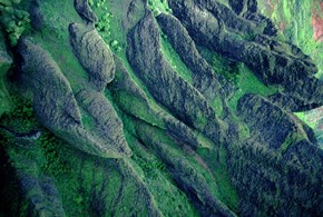 Il pianeta è sempre più verde, non grazie all’agenda climatica