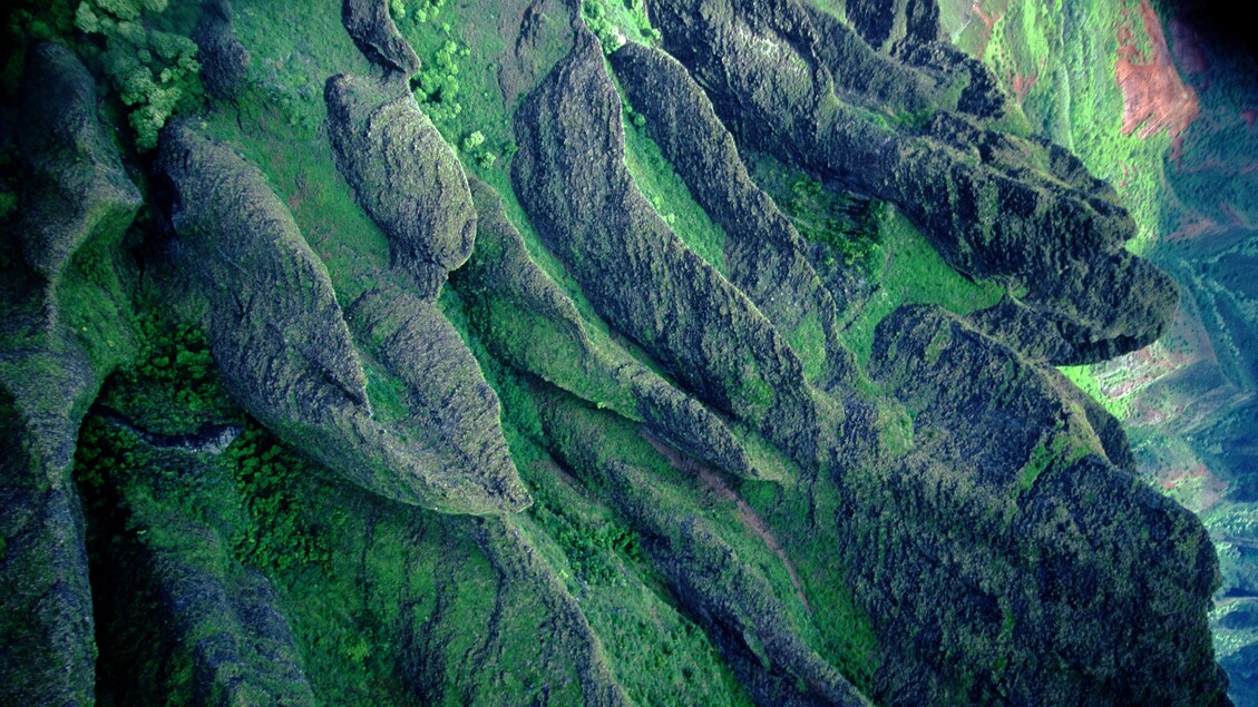 Il pianeta è sempre più verde, non grazie all’agenda climatica