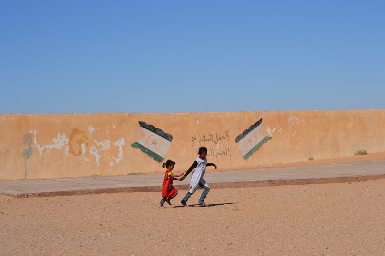 Sahara occidentale, Grecia e Danimarca pro-Marocco