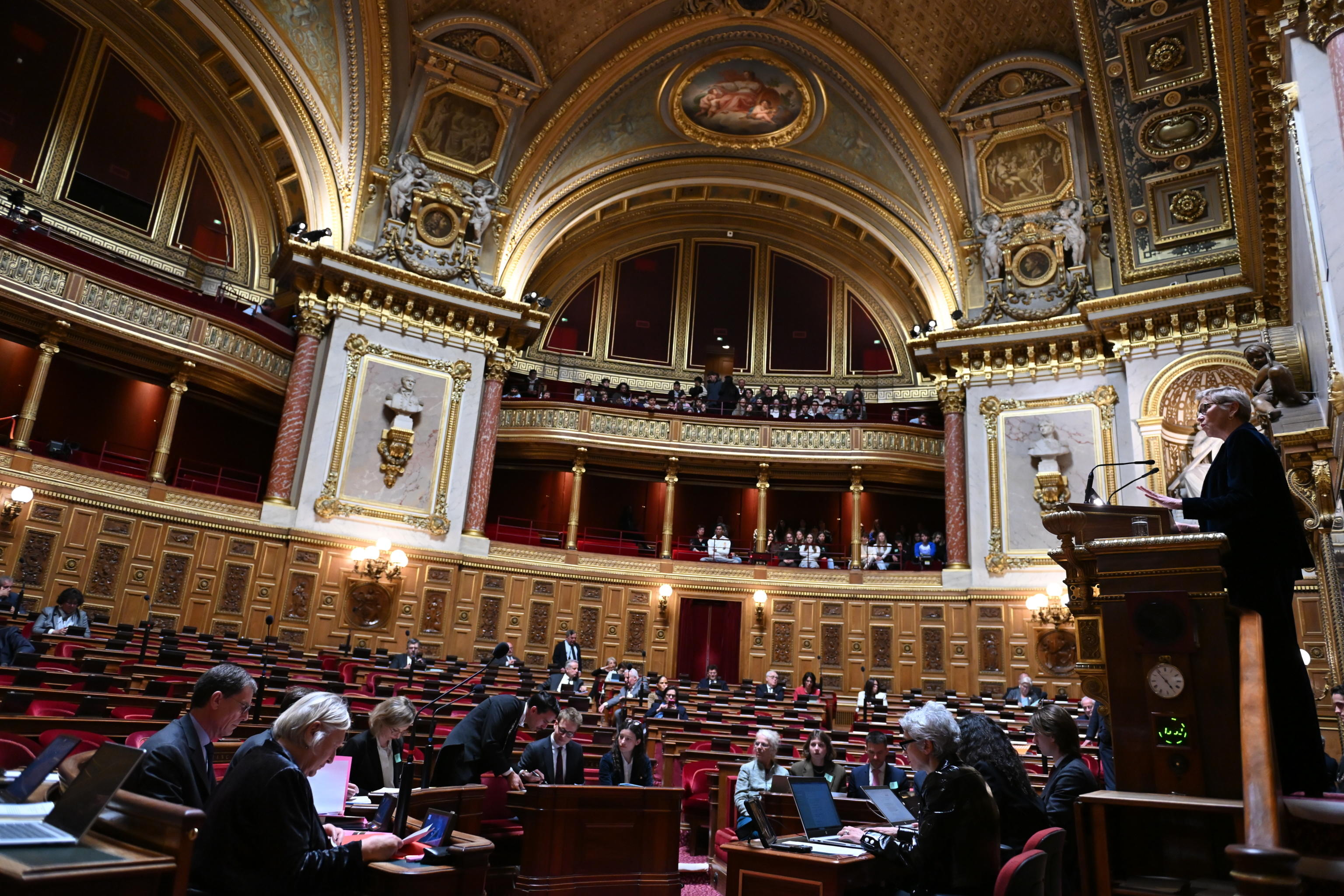 Elezioni in Francia: le mosse del notabilato