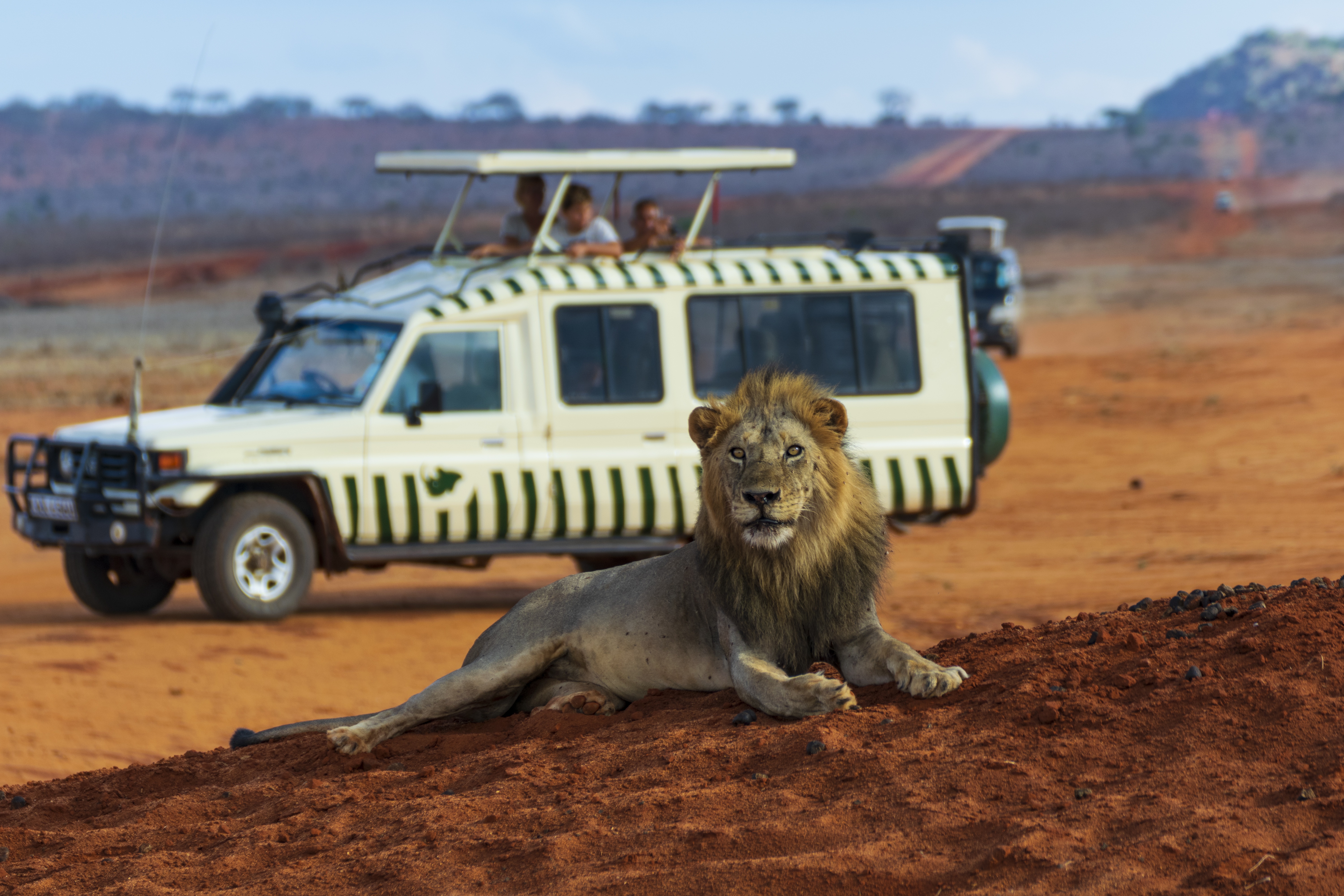 Kenya: safari e Oceano Indiano in un solo viaggio