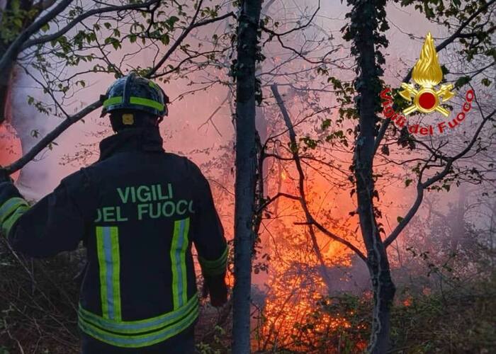 Custodi del verde: la regia istituzionale che prepara il domani